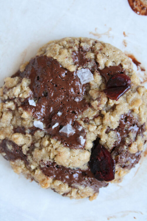 Cranberry Oatmeal Dark Chocolate Cookies